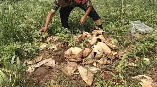 方山吃瓜最新事件爆料 第3张 方山吃瓜最新事件爆料 第3张